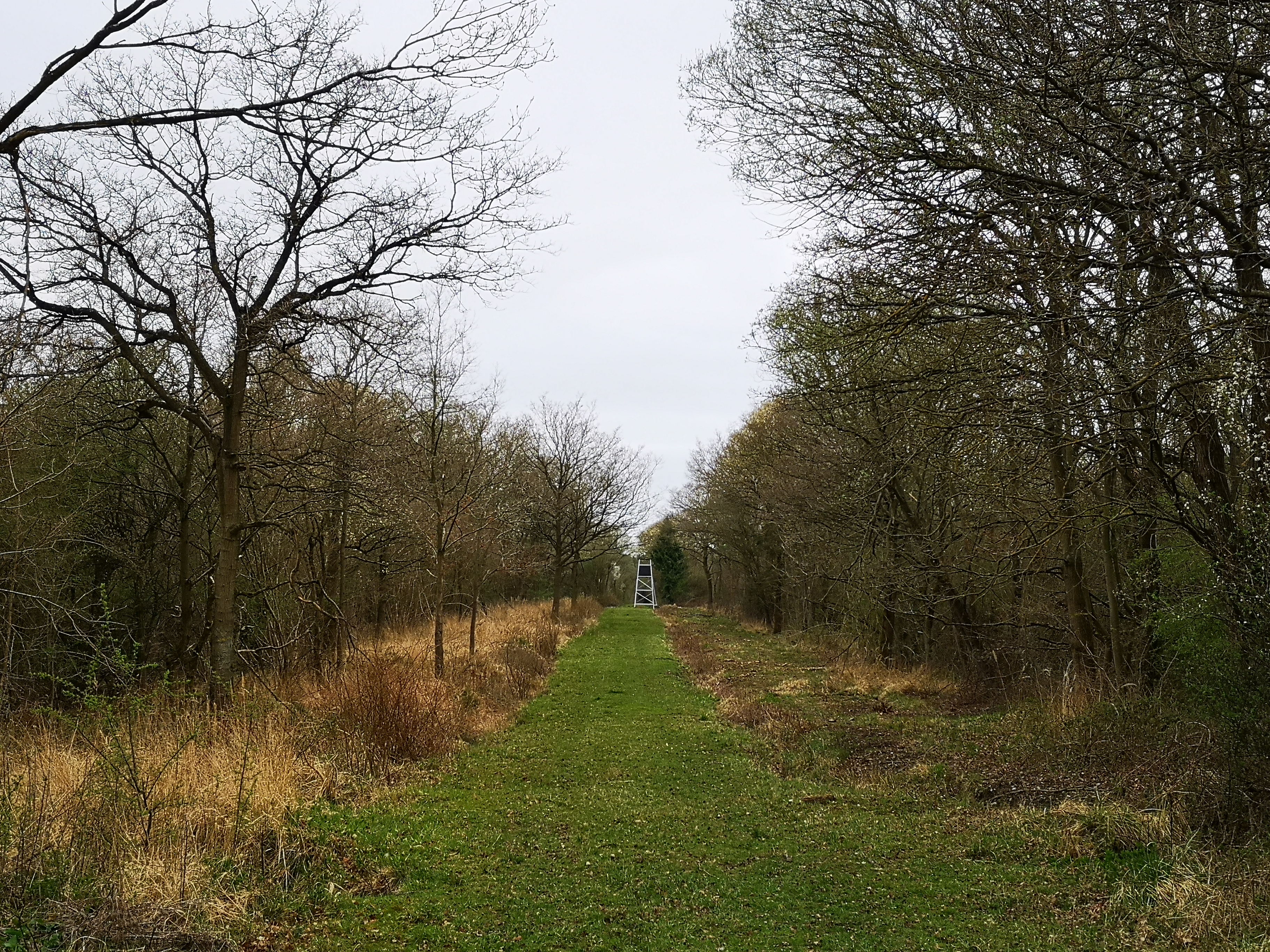 Deer management monitoring or habitat assessment activity